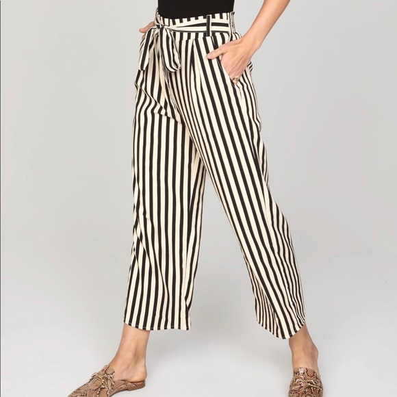 Amuse Society Pants - Amuse society cropped striped high waist pants